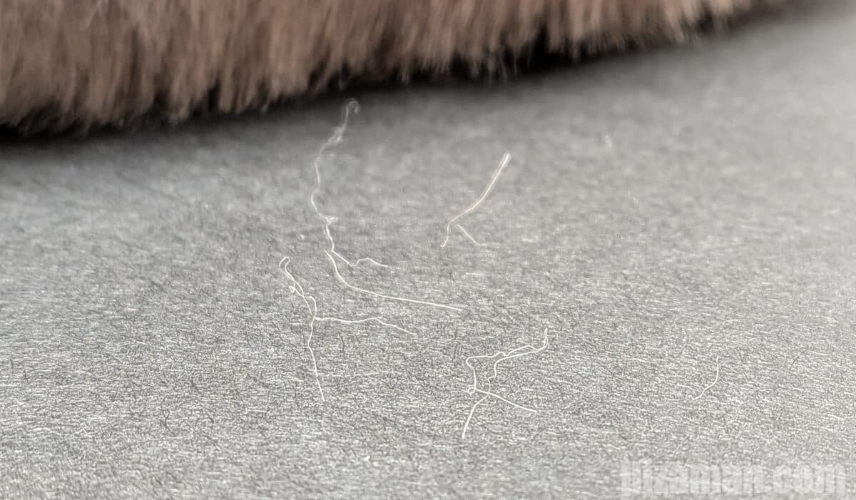 毛落ちしているようす