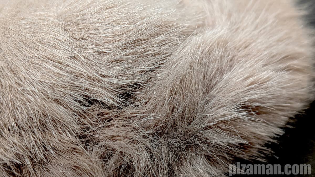 ボア（ファー）の拡大画像